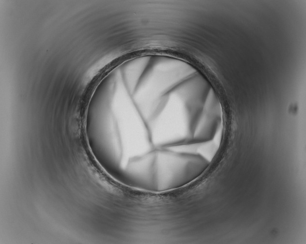 X0000113201018200910011251