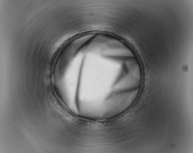 X0000113201019200910011251