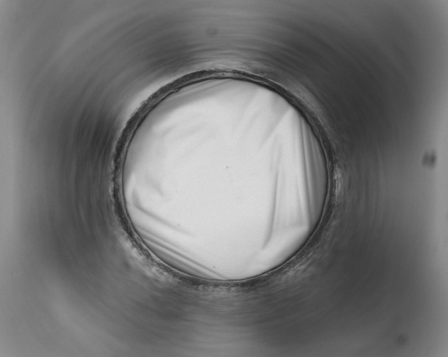 X0000113201020200910011251