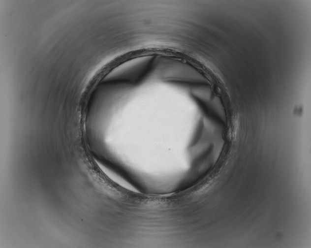 X0000113201021200910011251