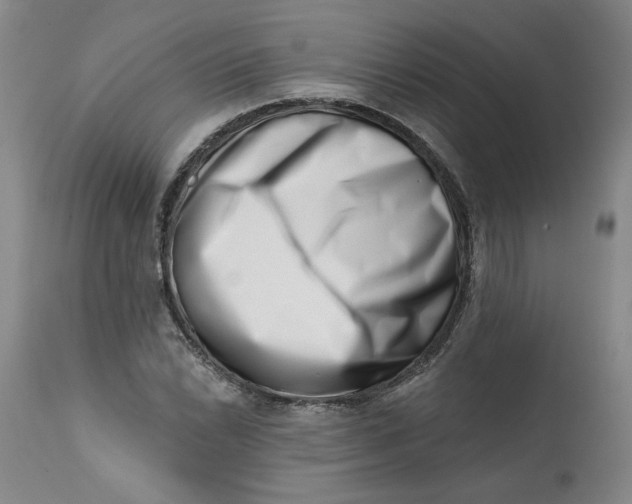 X0000113201022200910011251