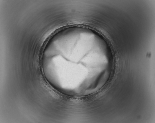 X0000113201023200910011251