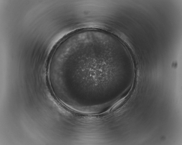 X0000113201024200910011251