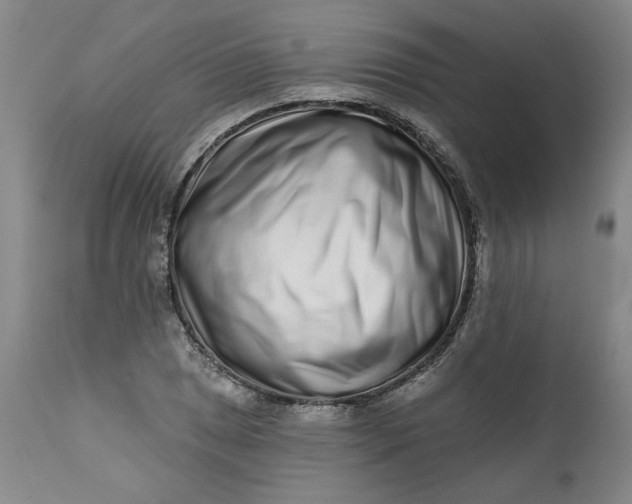 X0000113201025200910011251