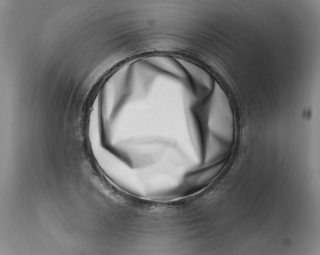 X0000113201026200910011251