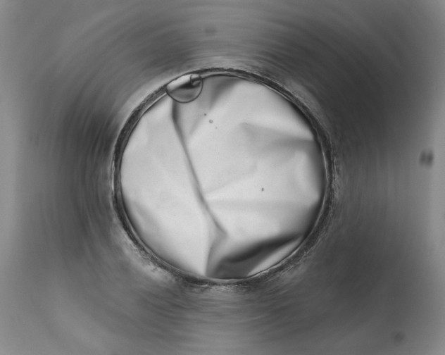 X0000113201028200910011251