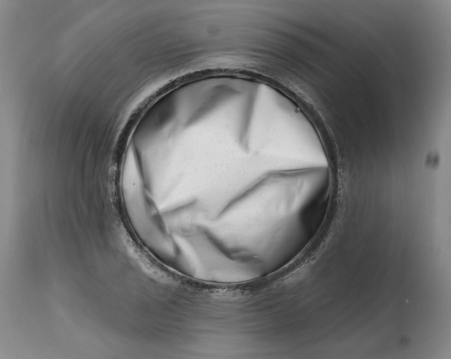 X0000113201029200910011251