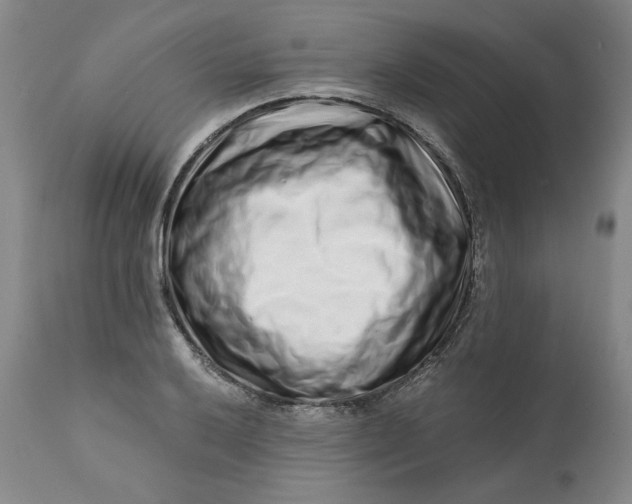 X0000113201032200910011251