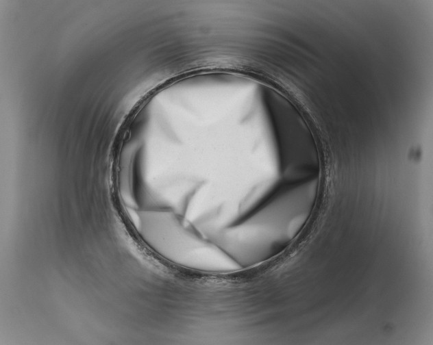 X0000113201034200910011251