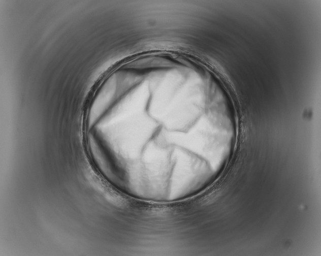 X0000113201035200910011251