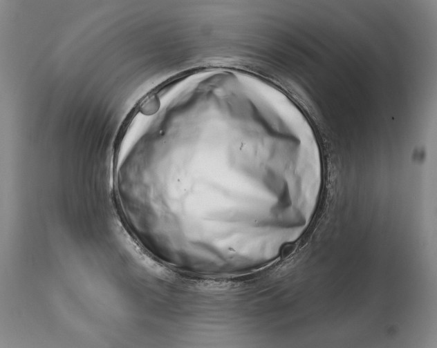 X0000113201036200910011251