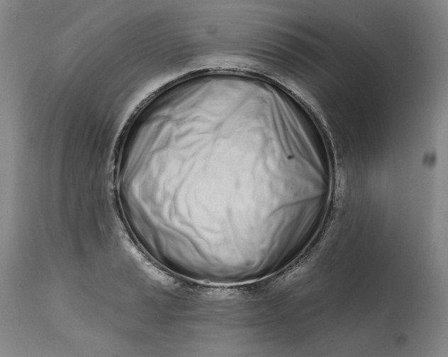 X0000113201037200910011251