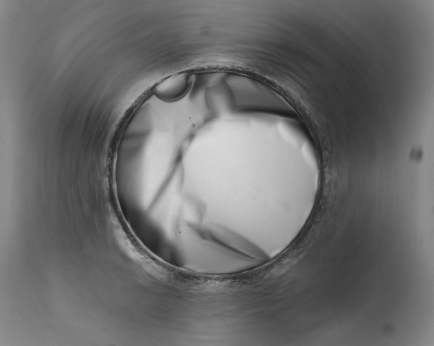 X0000113201038200910011251