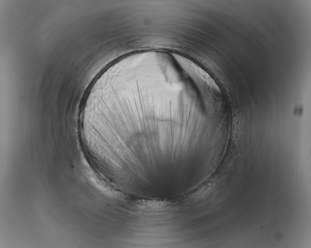 X0000113201039200910011251