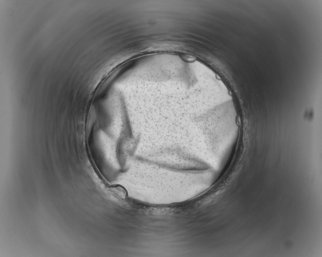 X0000113201041200910011251