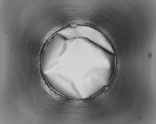 X0000113201042200910011251