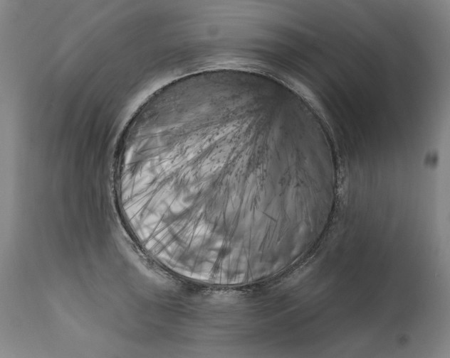 X0000113201043200910011251