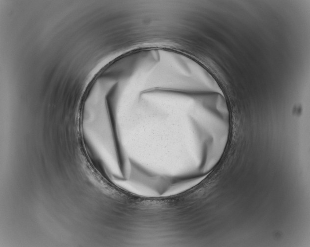 X0000113201044200910011251