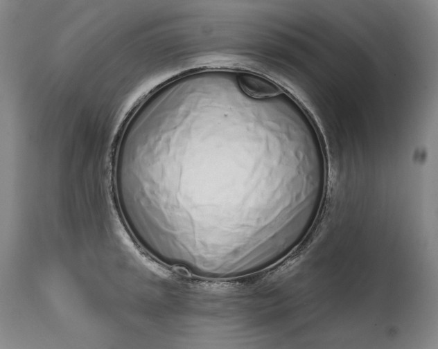 X0000113201045200910011251