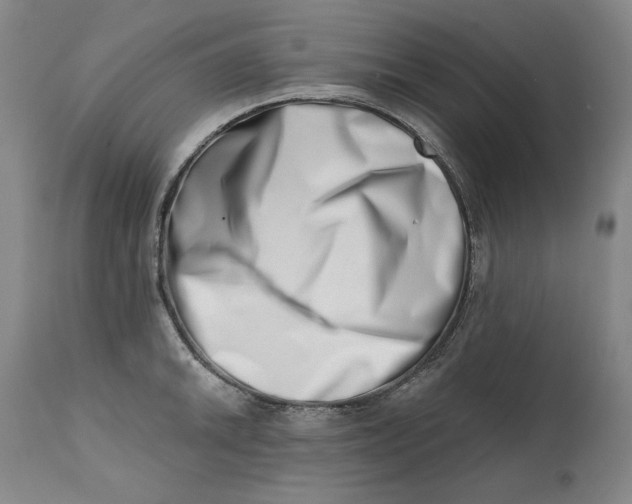 X0000113201046200910011251