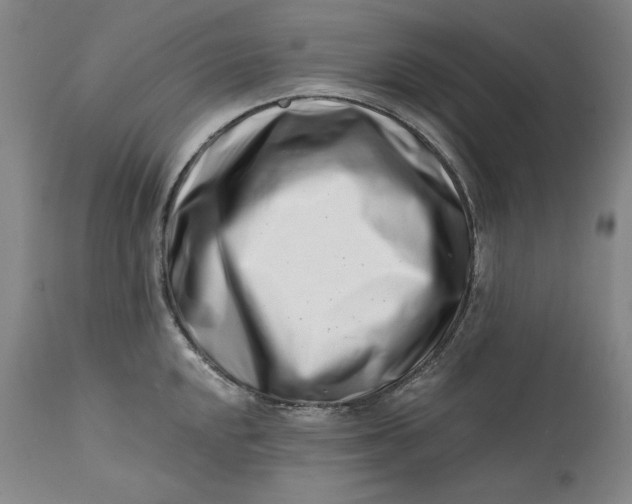 X0000113201048200910011251