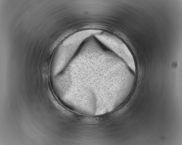 X0000113201049200910011251