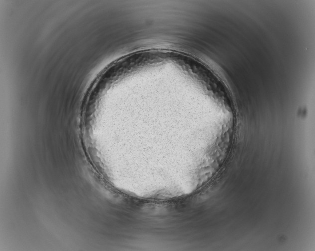 X0000113201051200910011251