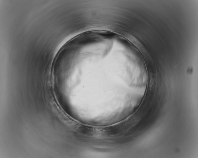 X0000113201052200910011251