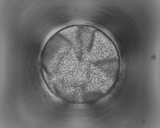 X0000113201053200910011251