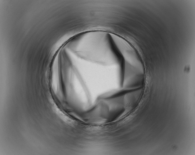 X0000113201054200910011251