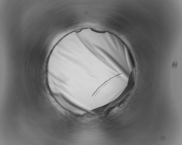 X0000113201056200910011251