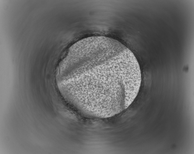 X0000113201057200910011251