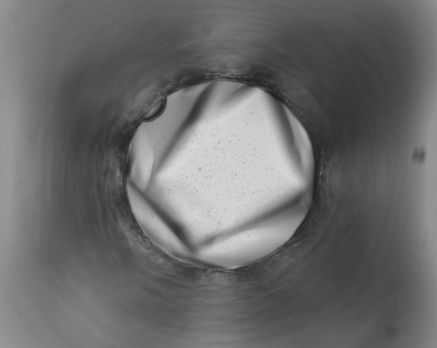 X0000113201058200910011251