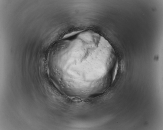 X0000113201059200910011251