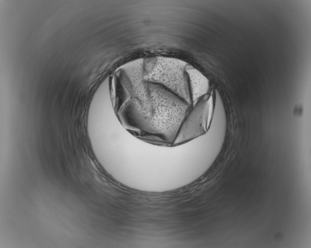 X0000113201060200910011251