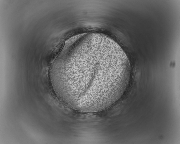 X0000113201061200910011251