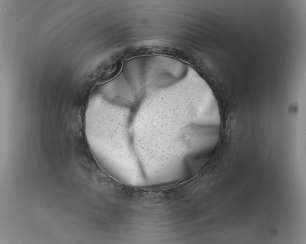 X0000113201062200910011251