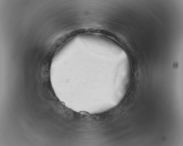 X0000113201063200910011251