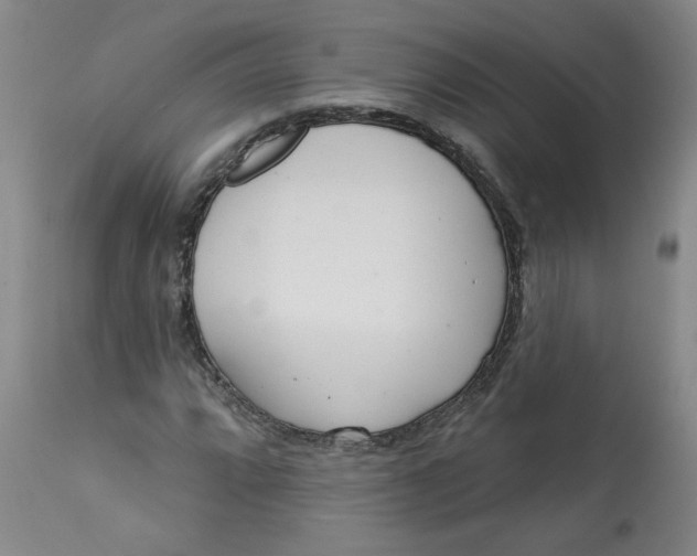 X0000113201064200910011251