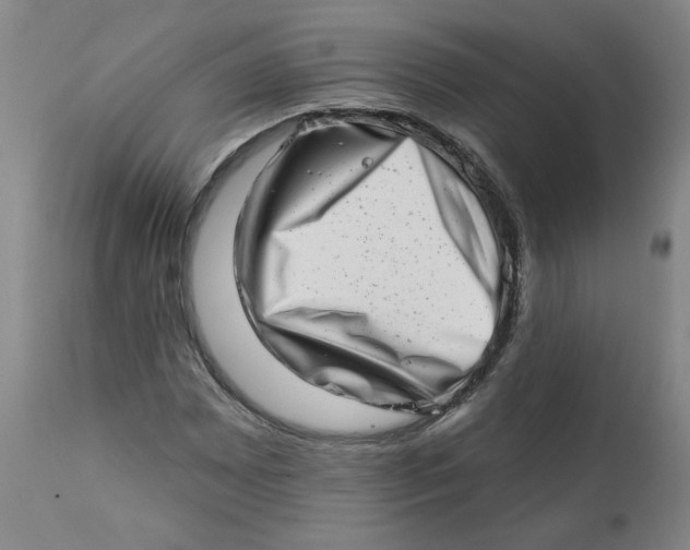 X0000113201065200910011250