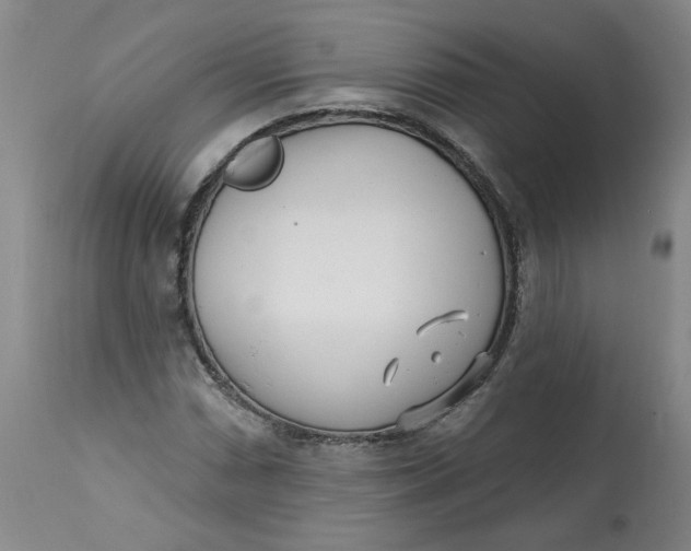 X0000113201066200910011250