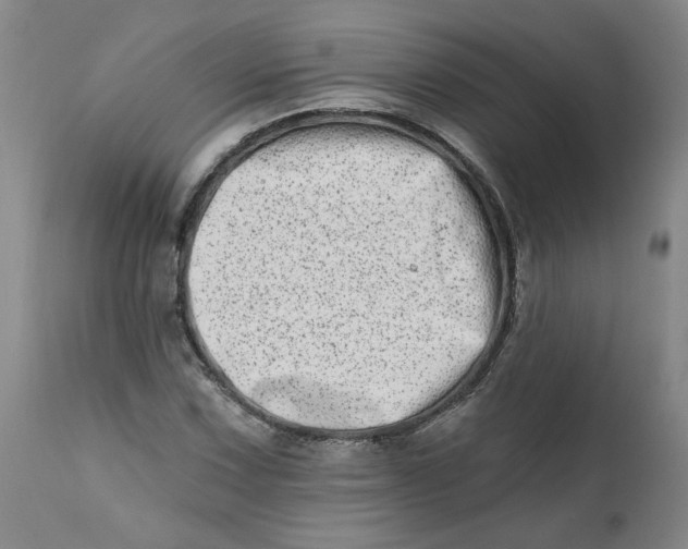 X0000113201067200910011250