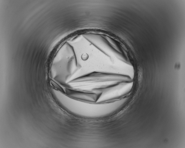 X0000113201069200910011250