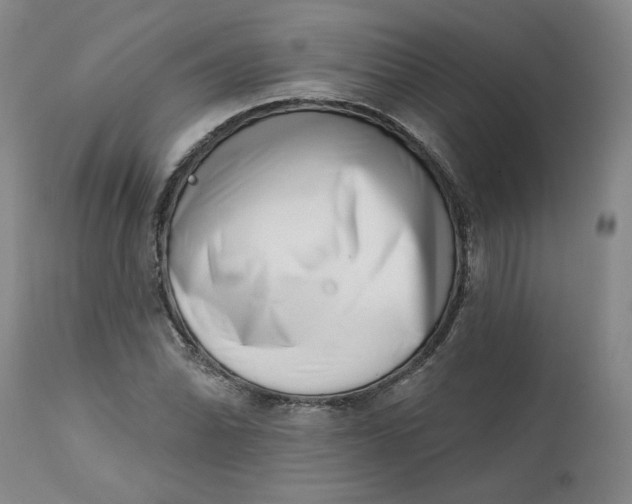 X0000113201070200910011250