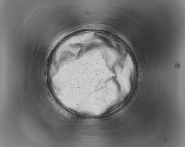 X0000113201075200910011250