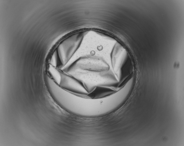 X0000113201076200910011250