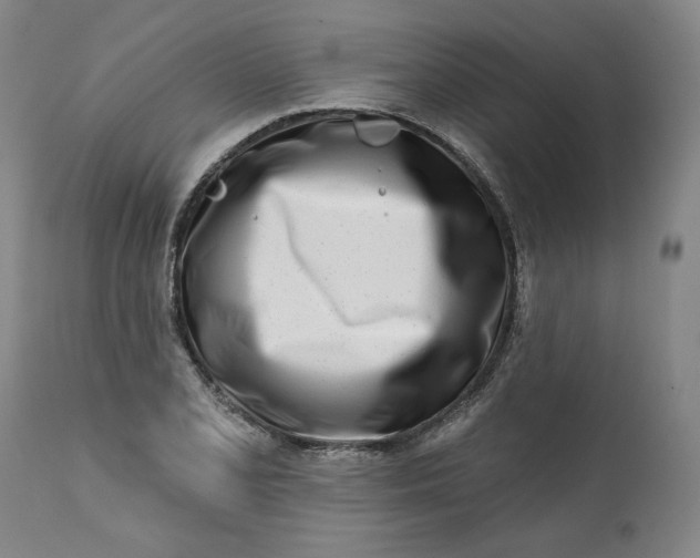 X0000113201077200910011250