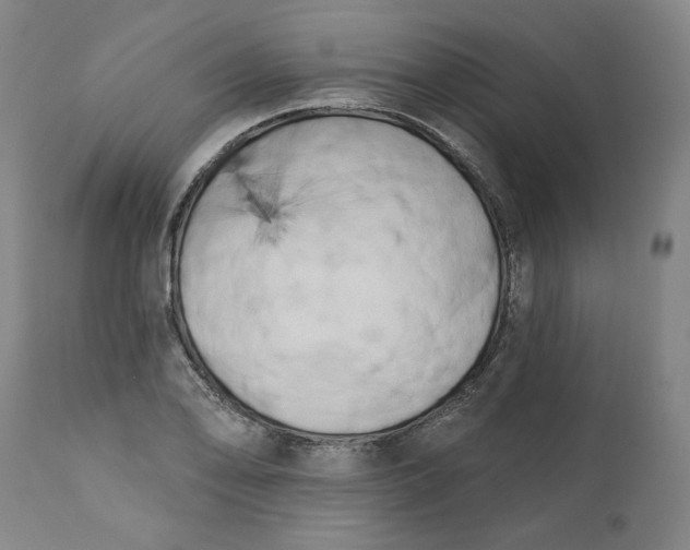 X0000113201078200910011250