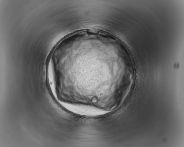 X0000113201079200910011250