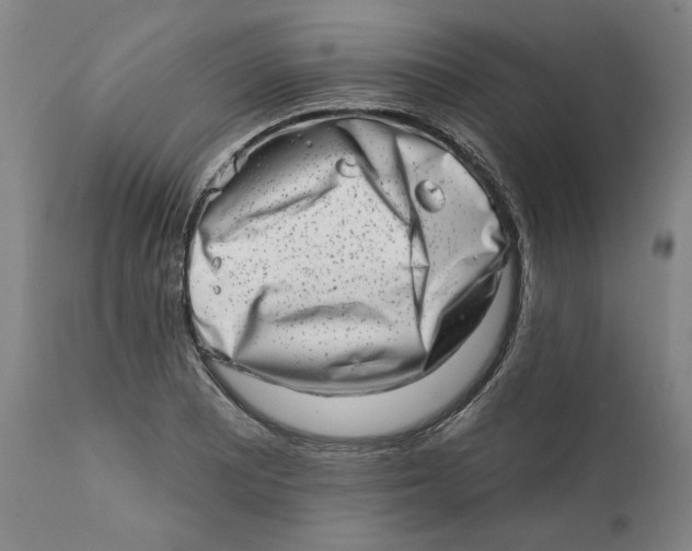 X0000113201081200910011250